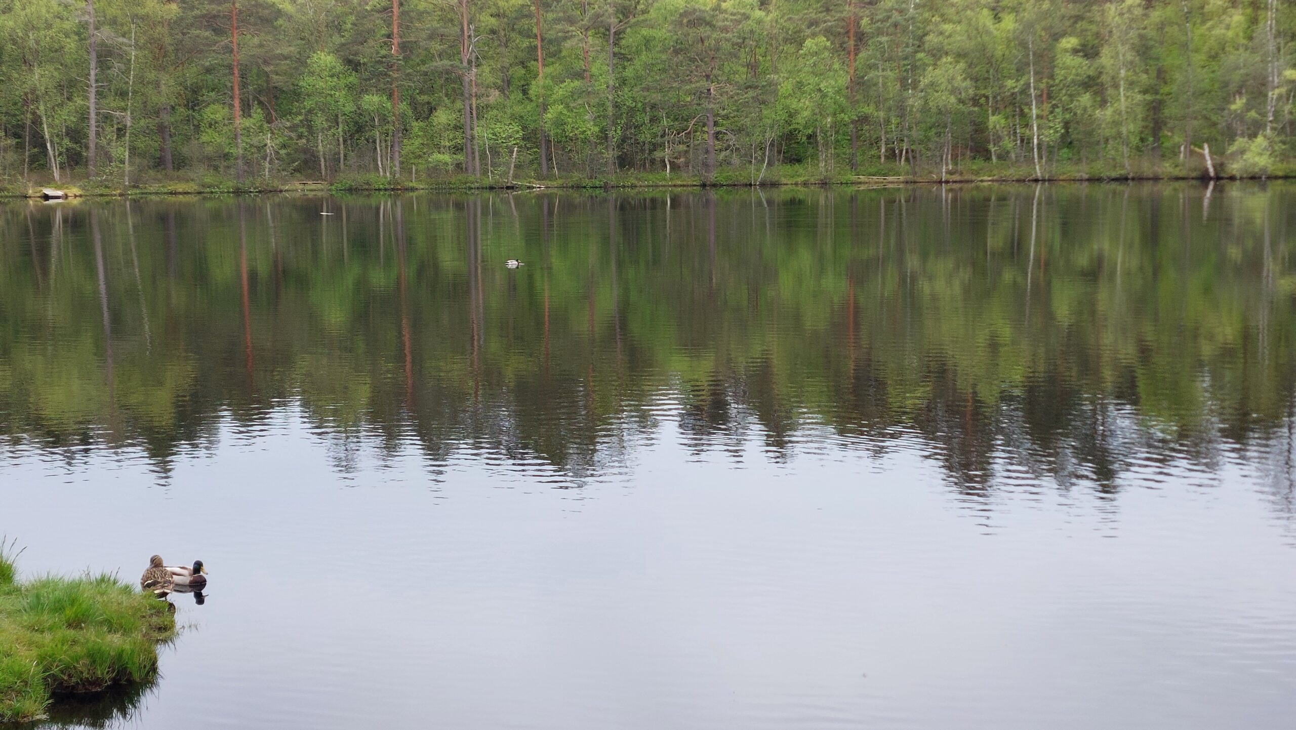Trollsjön i Brunnsparken Trollsjön i Brunnsparken