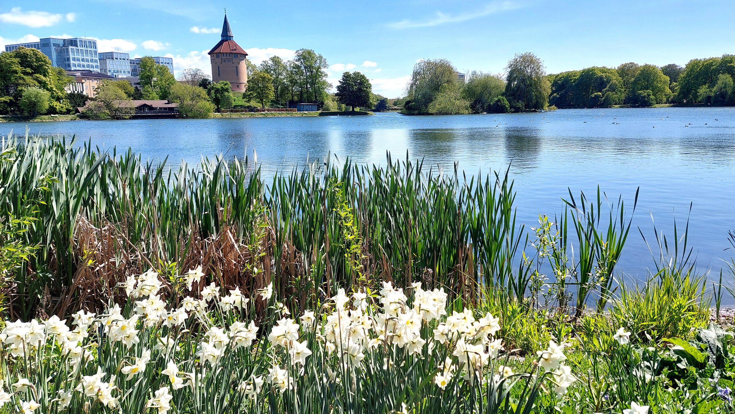 Pildammsparken att se i Malmö