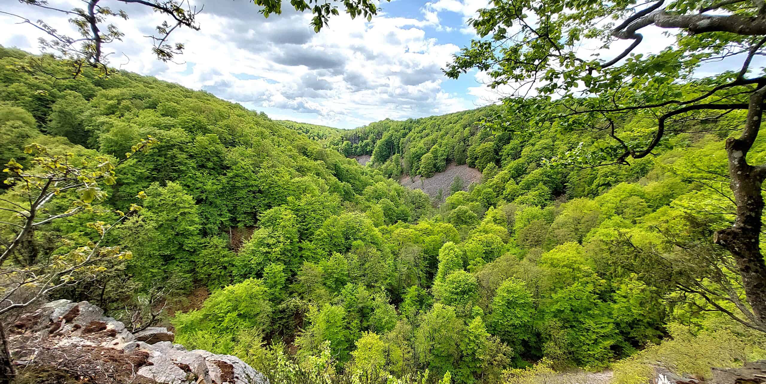 Söderåsens nationalpark