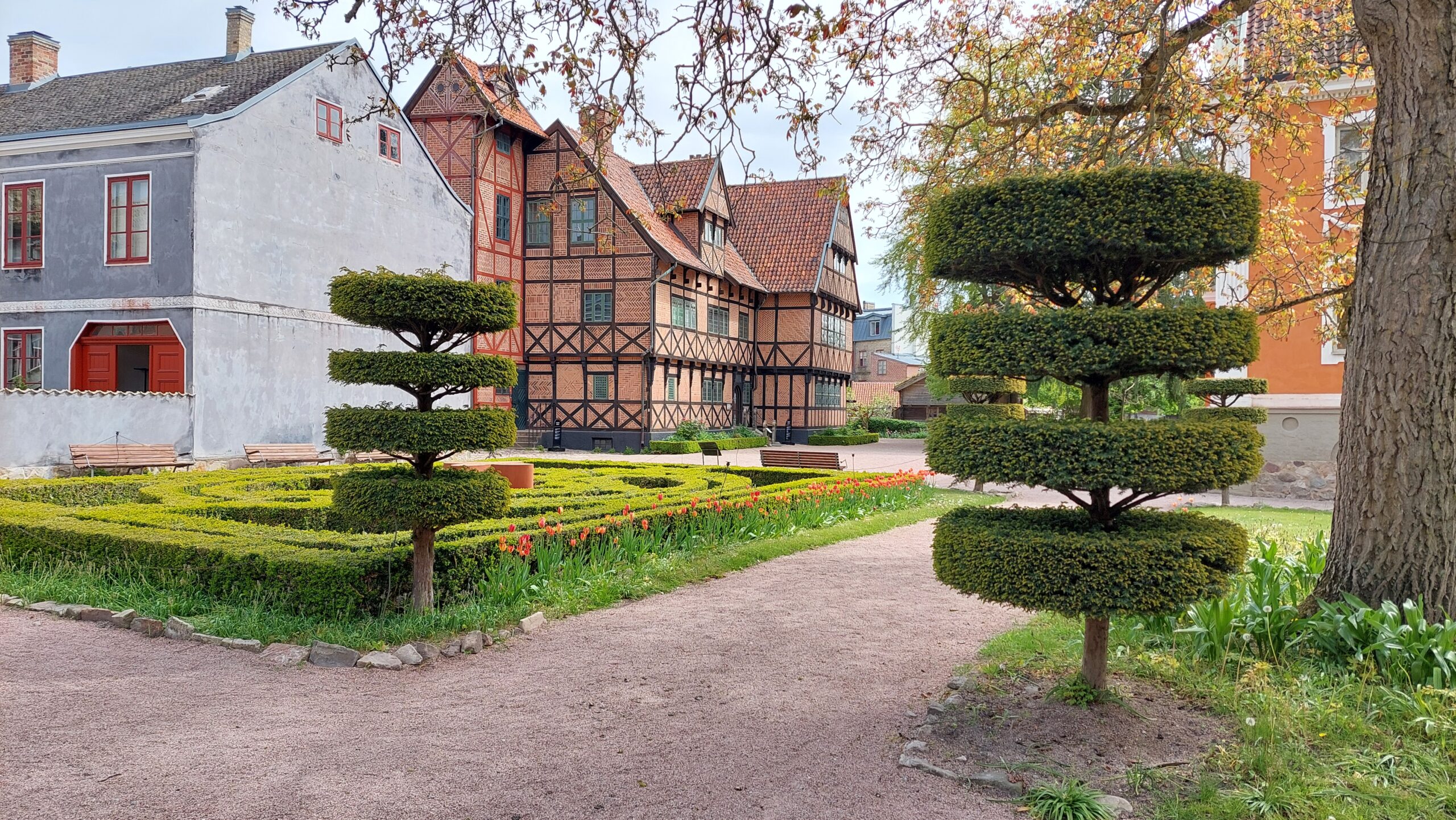 Kulturen i Lund med Borgarhuset i bakgrund Kulturen i Lund med Borgarhuset i bakgrund