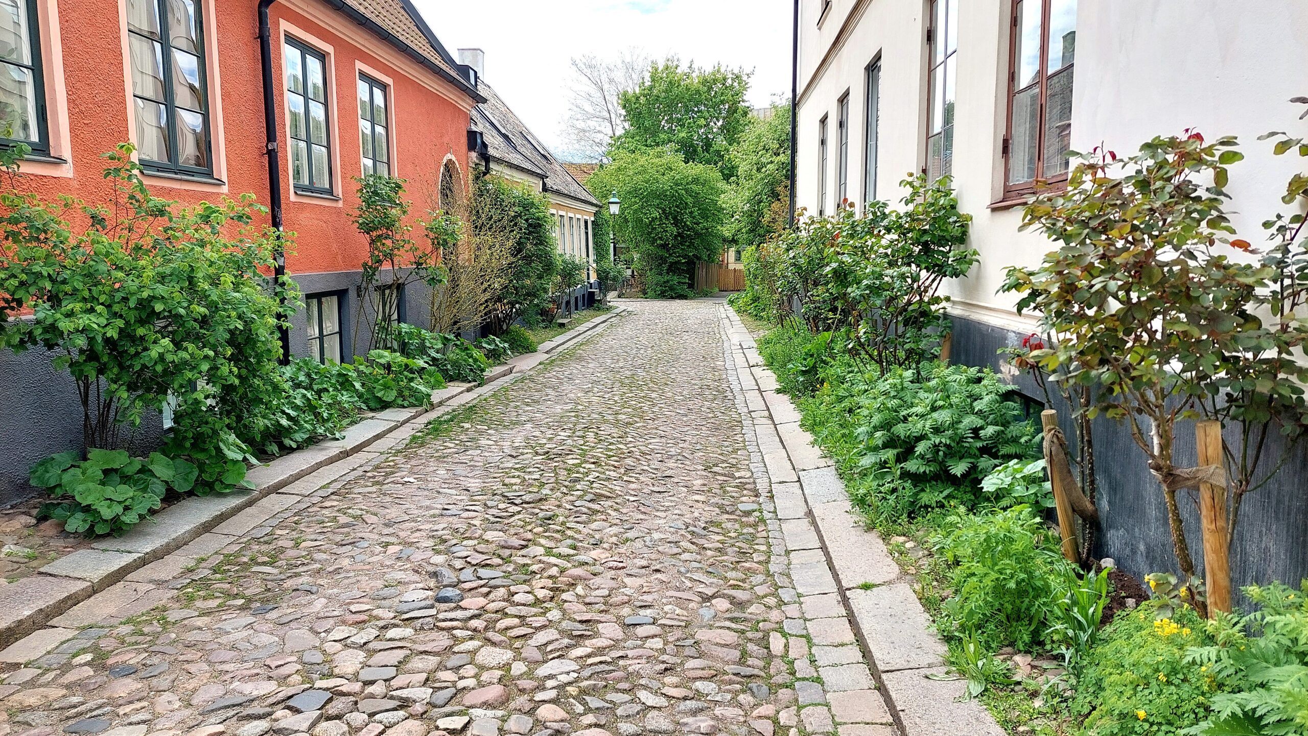 Lilla Sigridsgatan i Lund Lilla Sigridsgatan i Lund