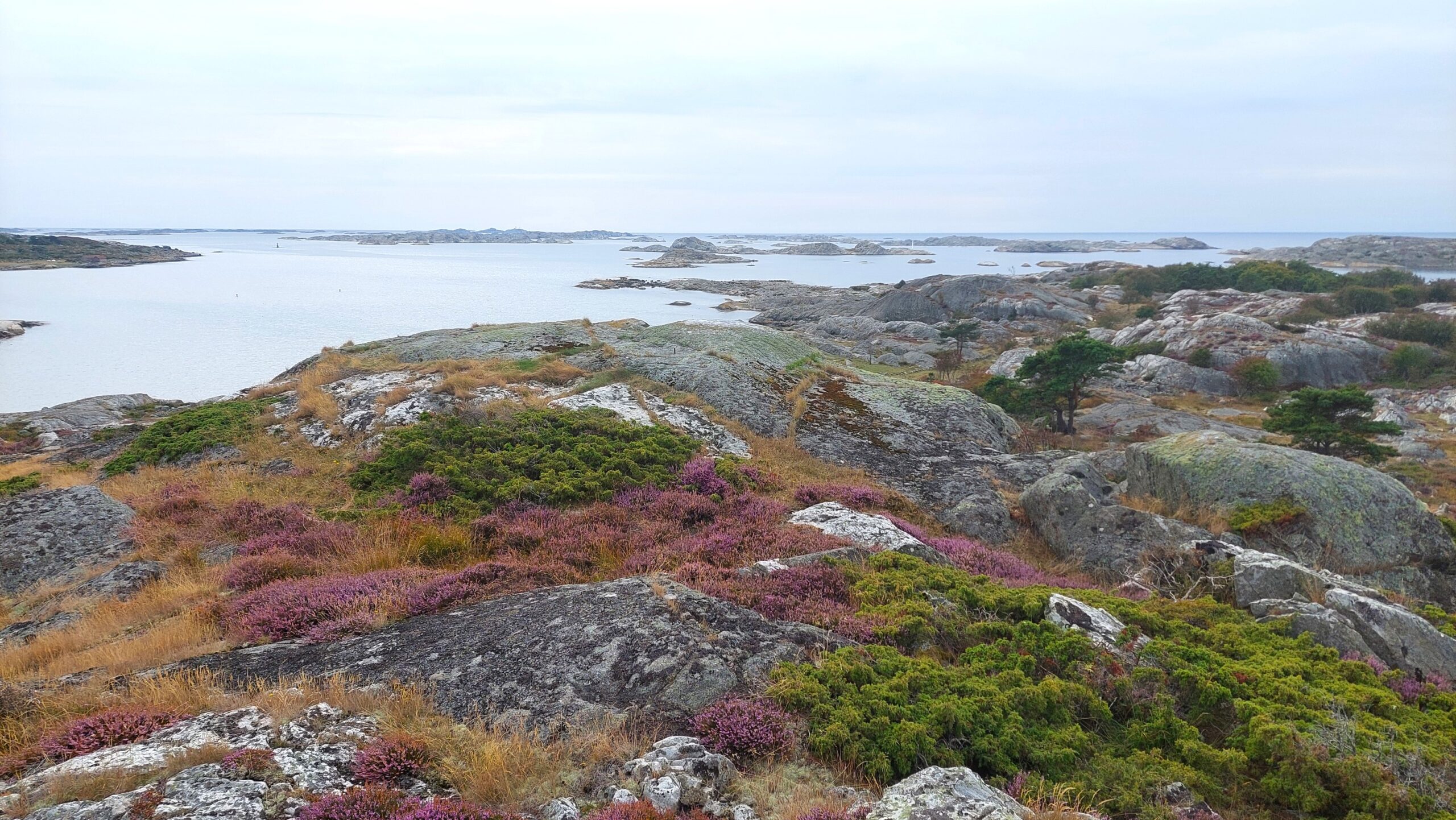 Kosteröarnas nationalpark Kosteröarnas nationalpark