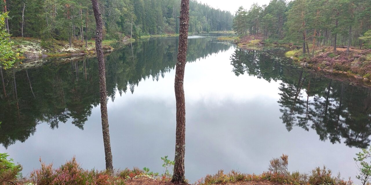 Tresticklans nationalpark