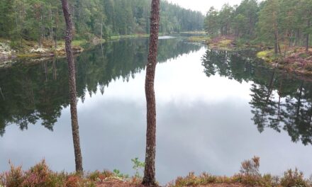 Tresticklans nationalpark