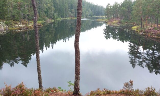 Tresticklans nationalpark