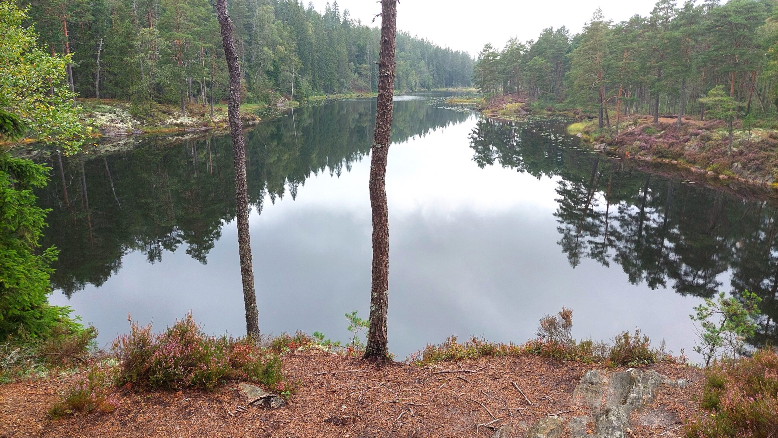 Vik av Stora Tresticklan Vik av Stora Tresticklan