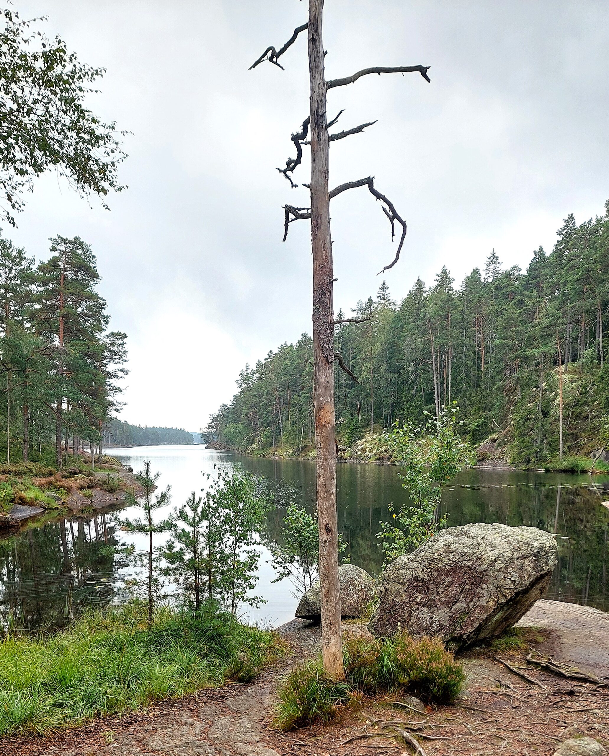 Tresticklans nationalpark