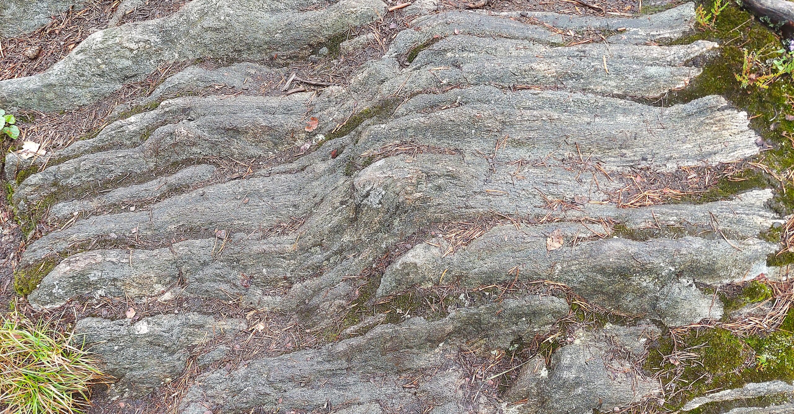 Geologi i Tresticklans nationalpark