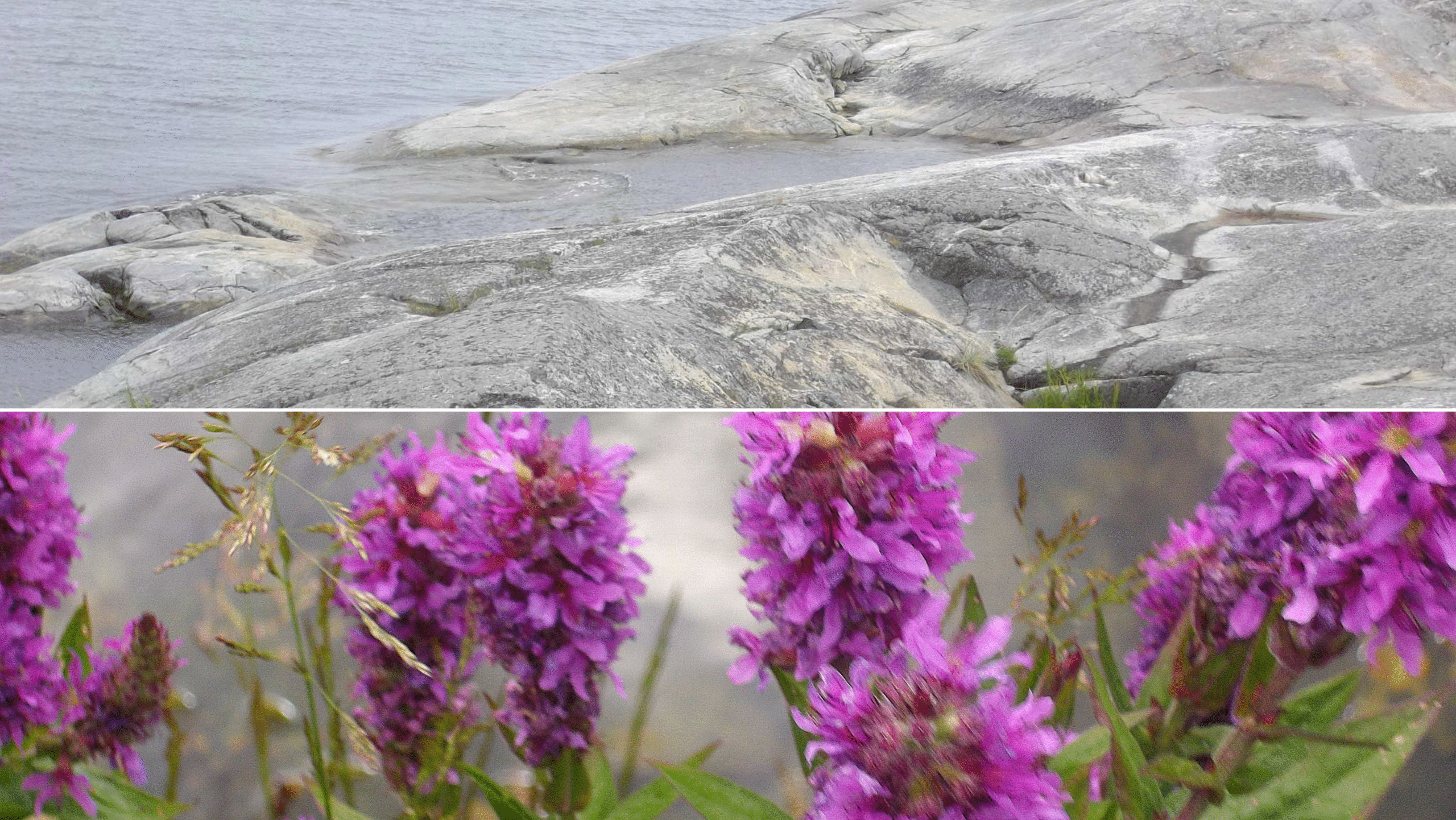 Nämdöskärgårdens nationalpark