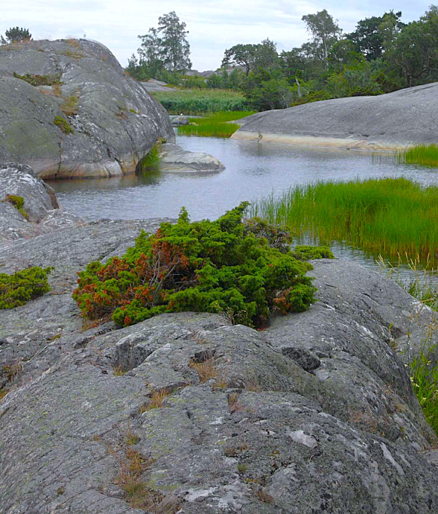 Nämdöskärgårdens nationalpark
