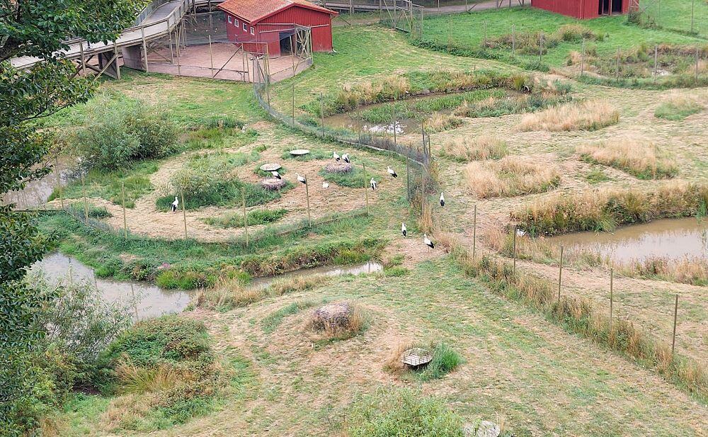 Våtmarken i Nordens Ark