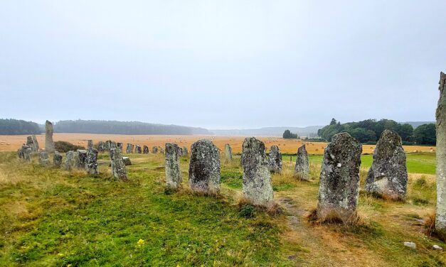 Blomsholm – Bohusläns stora stenskepp