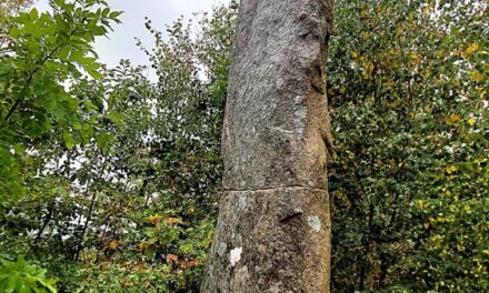 Vinbräckastenen – skandinaviens högsta bautasten