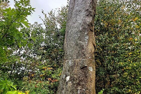 Vinbräckastenen – skandinaviens högsta bautasten