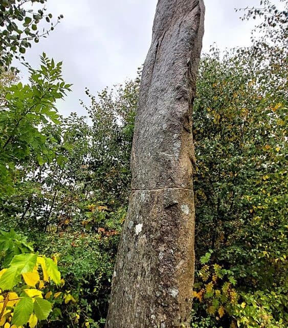 Vinbräckastenen – skandinaviens högsta bautasten