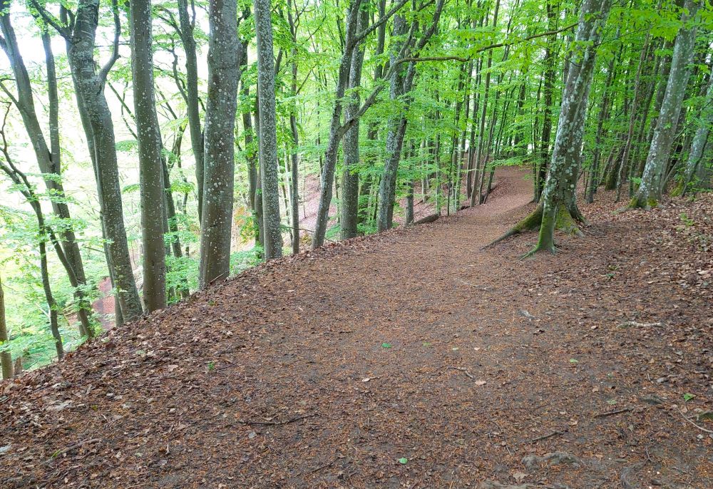 Forsakars naturreservat