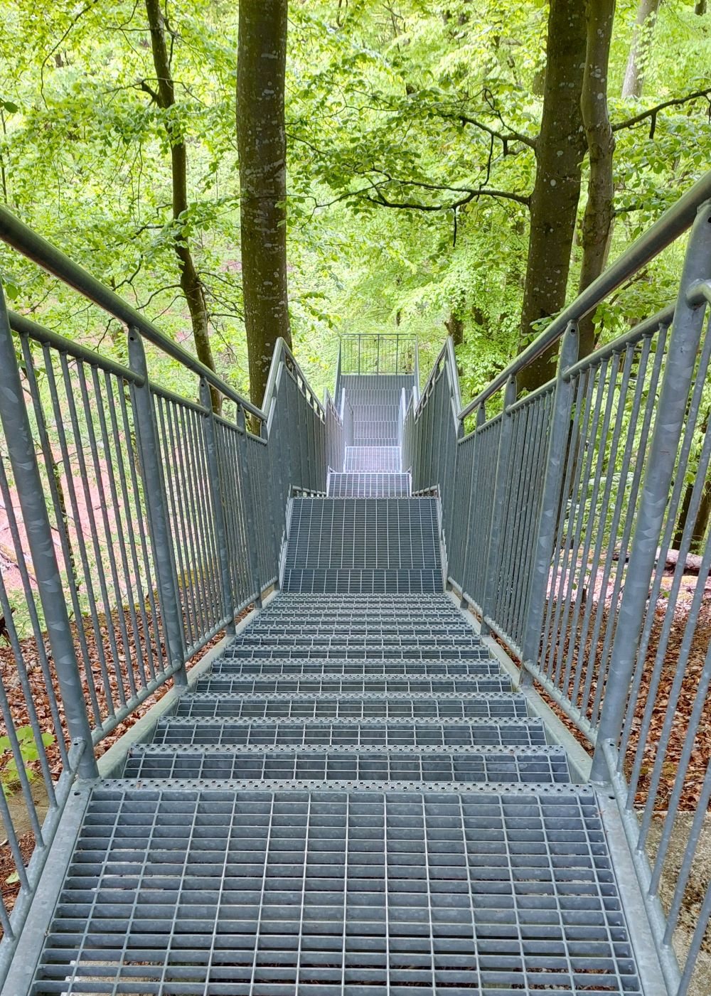 Trappa ner till Forsakars ravin