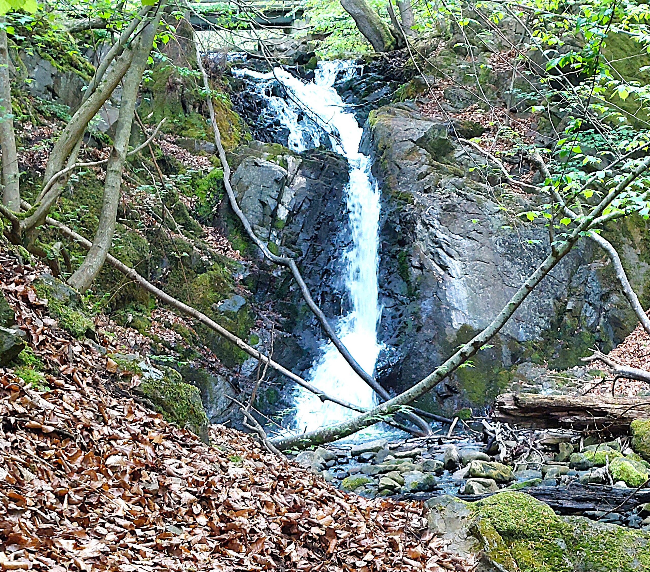 Forsakar övre vattenfall
