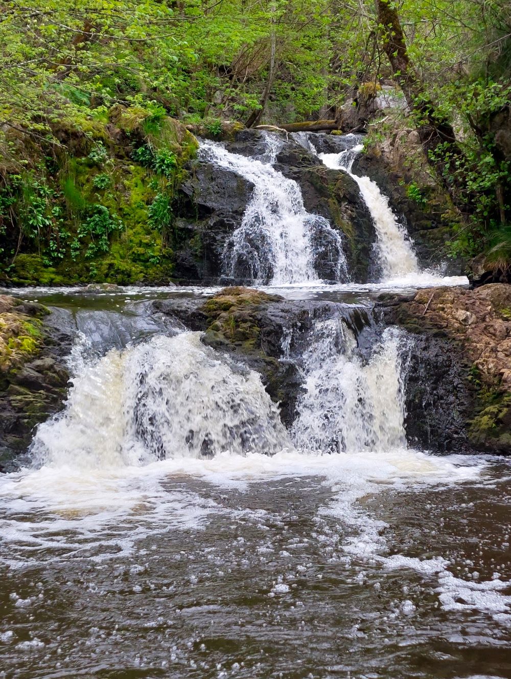Hallamölla vattenfall