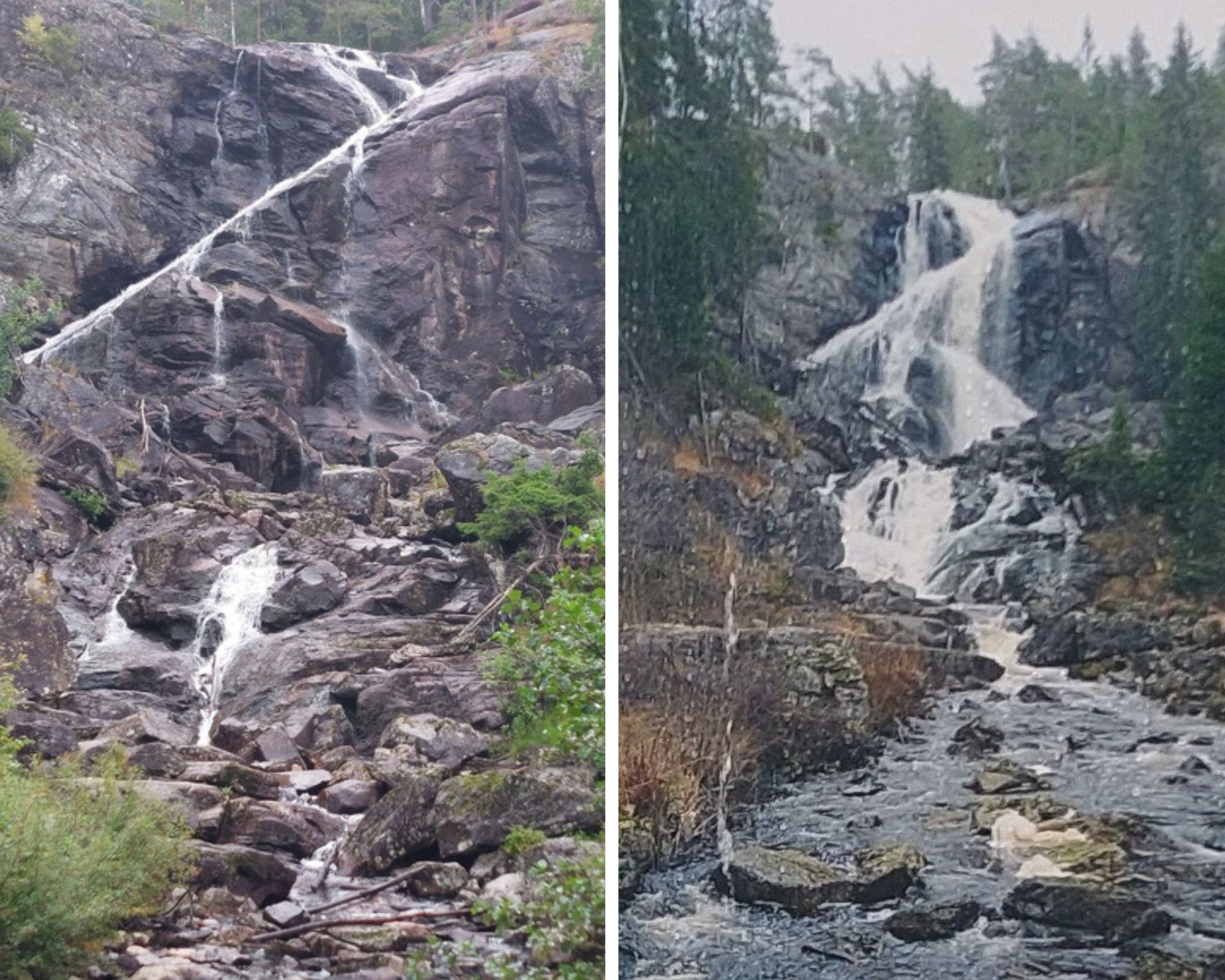 Älgafallet i Bohuslän