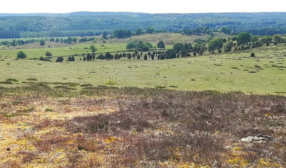 Brösarps norra backar