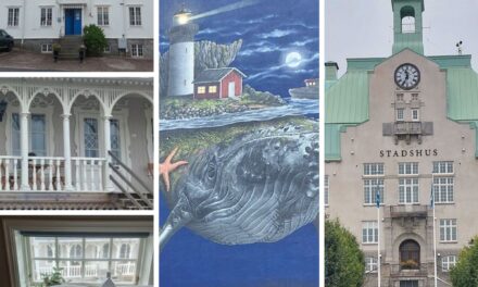 Se och göra i Strömstad