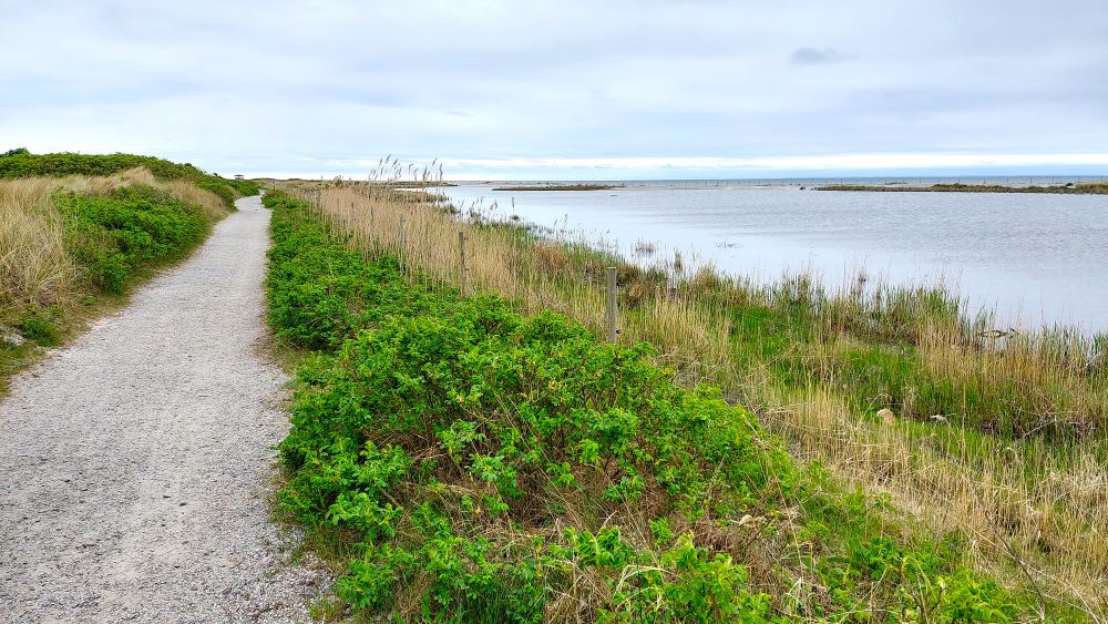 Skåneleden i Flommens naturreservat, Falsterbo