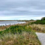 Falsterbonäset i Skåne