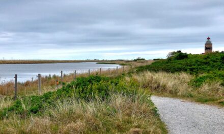 Falsterbonäsets sydspets