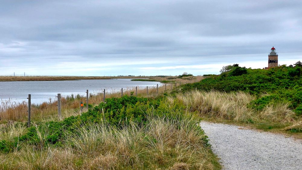 Falsterbonäsets sydspets