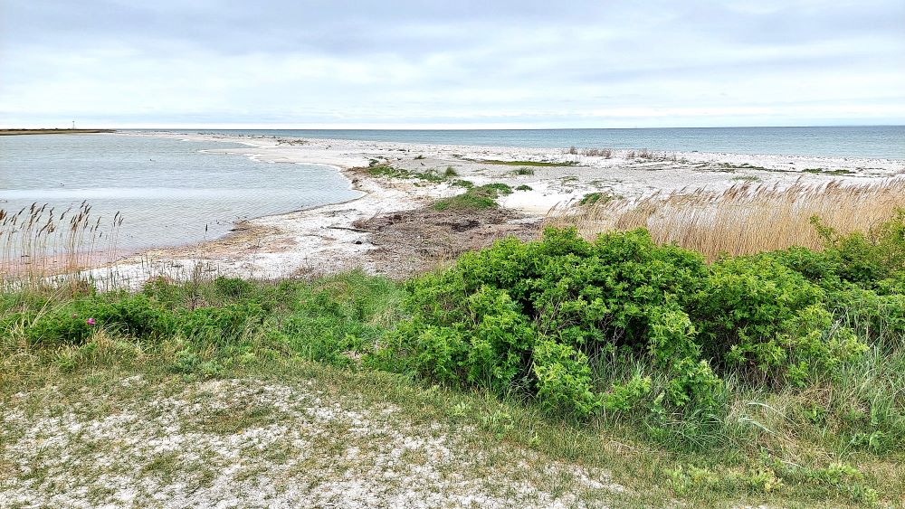 Sydspetsen på Falsterbonäset mot Måkläppen