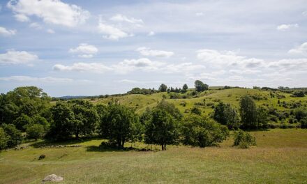 10 platser att se på Österlen – våra bästa tips