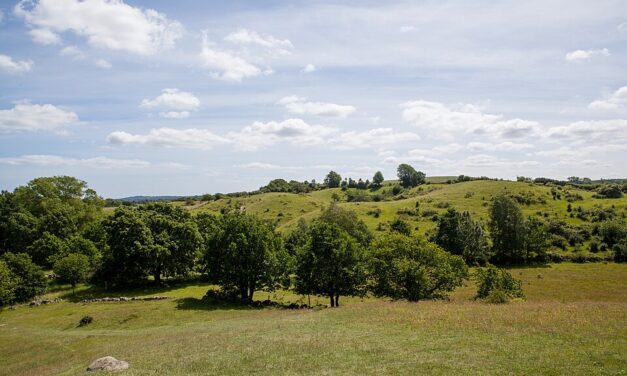 10 platser att se på Österlen – våra bästa tips