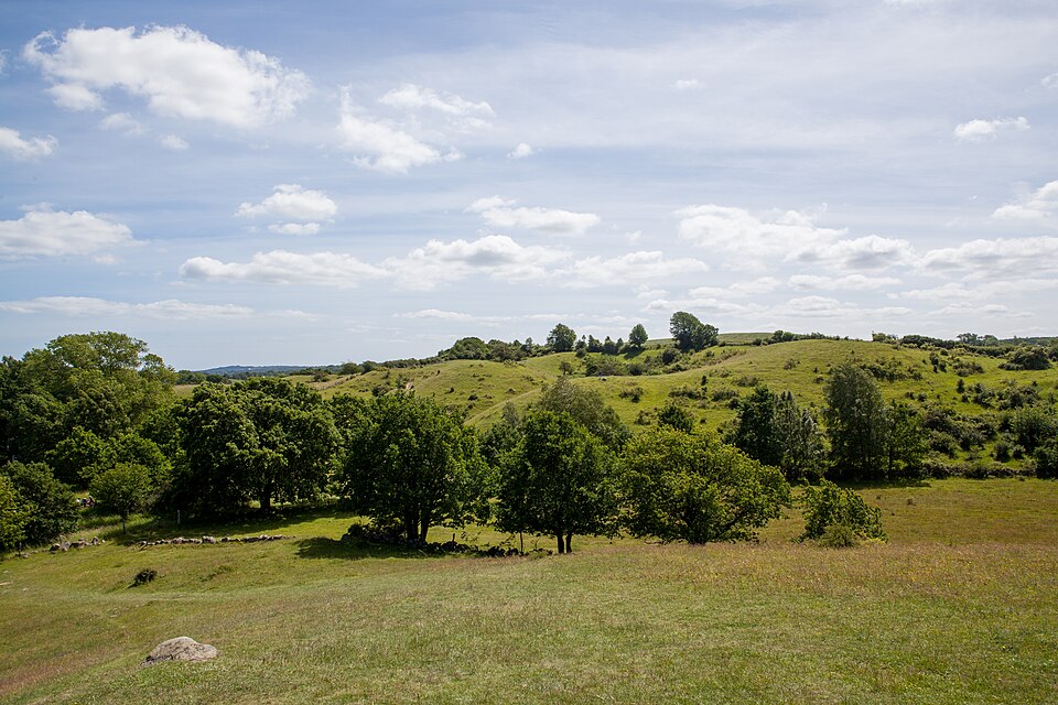 Brösarps backar södra