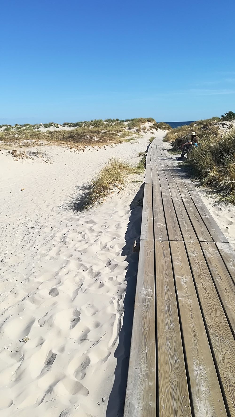 Sandhammaren