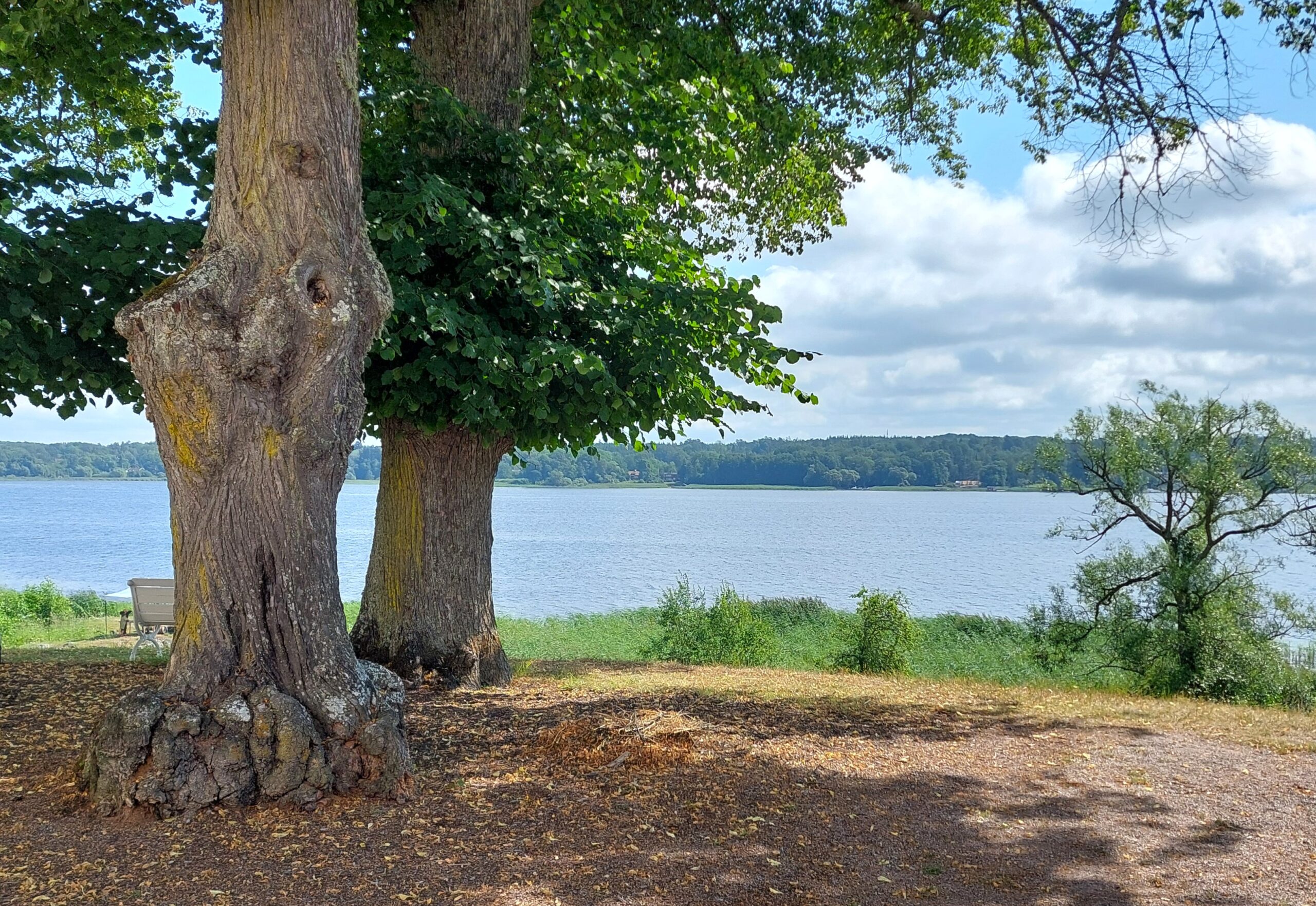 Utsikt över Mälaren från slottet